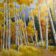 aspen-trees-co-painting